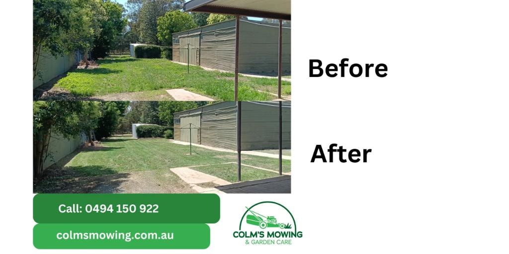 Before and after backyard garden cleanup