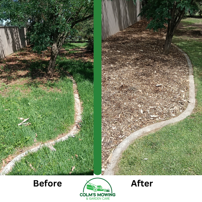 Before and after garden bed edging